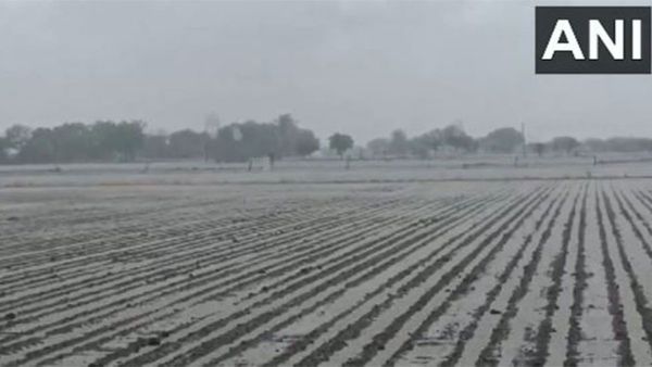 Gujarat Weather: આ જિલ્લાઓમાં આજે ભારેથી અતિ ભારે વરસાદની આગાહી, છેલ્લા 24 કલાકમાં 130 તાલુકામાં વરસ્યો