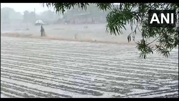 Gujarat Weather: ગુજરાતમાં ચોમાસુ સક્રિય! 25 તાલુકામાં વરસાદ, ખંભાળિયામાં 9 ઈંચ, આજે 29 જિલ્લાઓમાં આગાહી