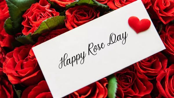 Red Rose Day : પ્રેમના ઈઝહાર માટે લાલ ગુલાબ જ કેમ અપાય છે? જાણો શું છે ઇતિહાસ?