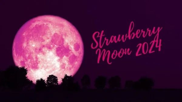 Strawberry Moon 2024 Date and Time: જૂનમાં ક્યારે થશે સુંદર 'સ્ટ્રૉબેરી મૂન'ના દીદાર? ચોંકાવી દેશે નઝારો