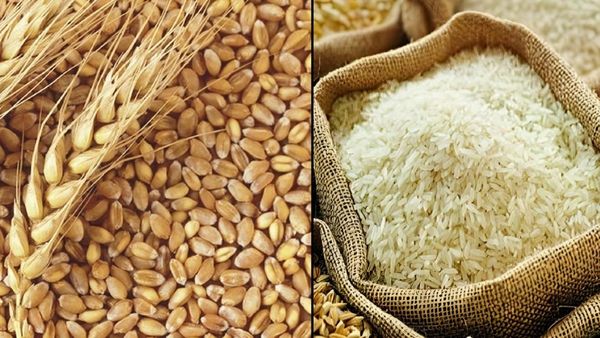 MSP : 14 જેટલા પાકોના ટેકાના ભાવમાં કેન્દ્ર સરકારે વધારો કર્યો