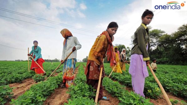 Agriculture News: પ્રાકૃતિક કૃષિને પ્રોત્સાહિત કરશે ગુજરાત સરકાર, જાણો નવી યોજનાઓ