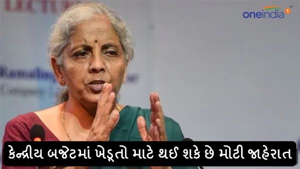 Agriculture in Budget 2024: કેન્દ્રીય બજેટમાં ખેડૂતો માટે થઈ શકે છે મોટી જાહેરાત