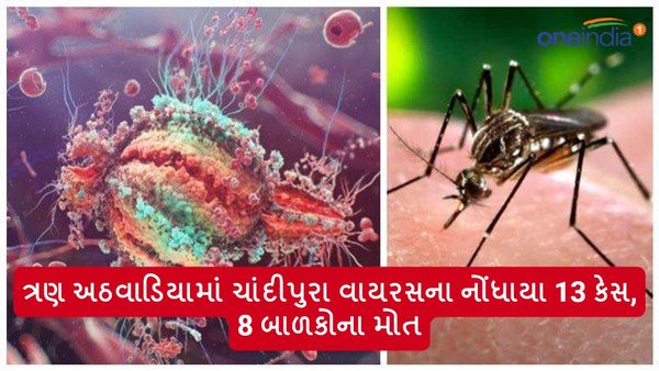 Chandipura Virus: ગુજરાતમાં ચાંદીપુરા વાયરસે વધારી ચિંતા, ત્રણ અઠવાડિયામાં નોંધાયા 13 કેસ, 8 બાળકોના મોત