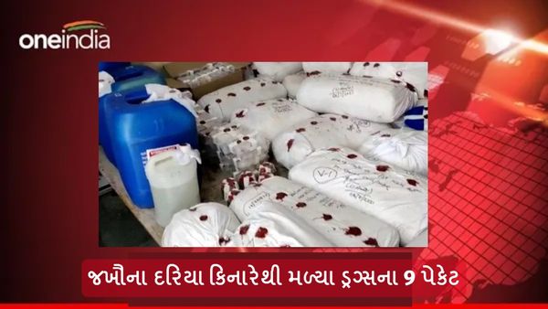 Drugs in Gujarat: જખૌના દરિયા કિનારેથી મળ્યા ડ્રગ્સના 9 પેકેટ, BSFએ રિકવર કર્યા