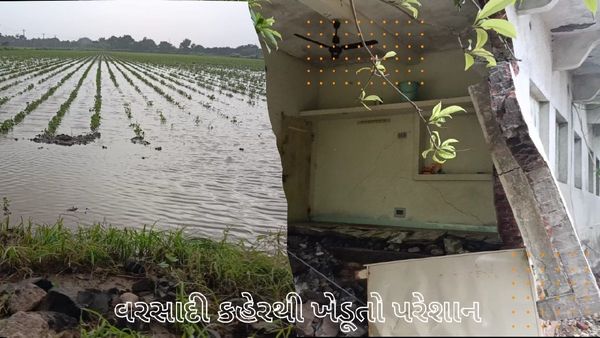 સૌરાષ્ટ્રમાં ભારે વરસાદના કારણે ખેડૂતો ત્રાહિમામ