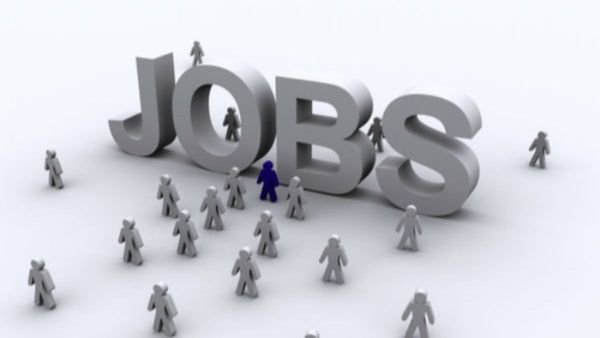 Sarkari Jobs: 55000 સરકારી નોકરીની જાહેરાત, આજે જ કરો અરજી