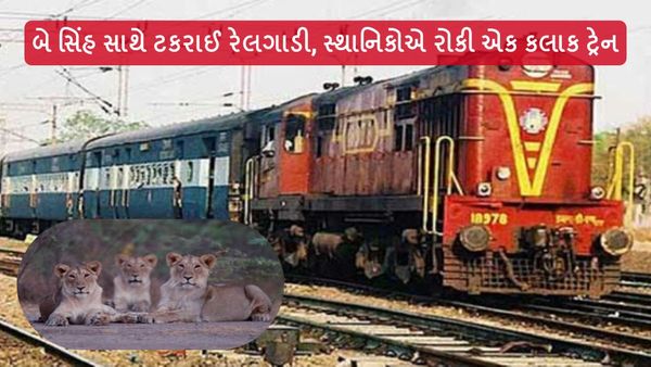 બે સિંહ સાથે ટકરાઈ ટ્રેન, સ્થાનિકોએ રોકી એક કલાક ટ્રેન