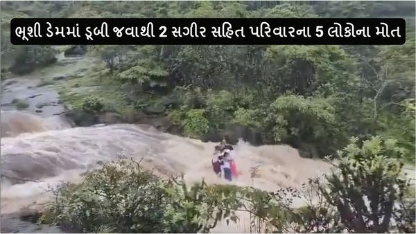 Lonavala waterfall mishap Video: લોનાવાલાના ભૂશી ડેમમાં ડૂબી જવાથી 2 સગીર સહિત પરિવારના 5 લોકોના મોત