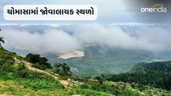 જો તમે વરસાદમાં ફરવા માટે સુંદર અને સુરક્ષિત સ્થળ શોધી રહ્યા છો, તો જાવ રાજસ્થાન તરફ