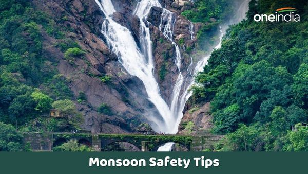 Monsoon Safety: ચોમાસામાં વોટરફોલ ફરવા જવાનો કરી રહ્યાં છો પ્લાન, તો આ Safety Tips ને બિલકુલ અવગણશો નહીં