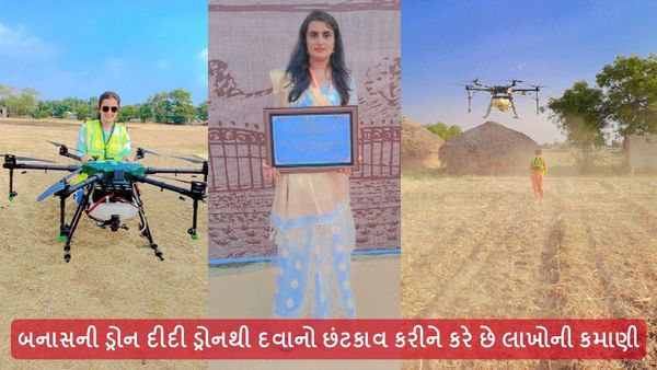 બનાસની ડ્રોન દીદી: આશા ચૌધરી ડ્રોનથી દવાનો છંટકાવ કરીને કરે છે લાખોની કમાણી