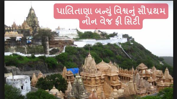 પાલિતાણા બન્યું વિશ્વનું સૌપ્રથમ નોન વેજ ફ્રી સિટી, આ કારણે લેવાયો નિર્ણય