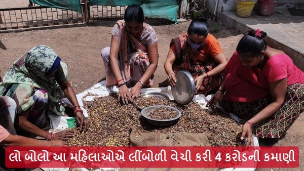 લો બોલો આ મહિલાઓએ લીંબોળી વેચી કરી 4 કરોડની કમાણી, કેવી રીતે?