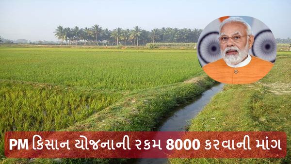 Union Budget 2024: ખેડૂતોને મળશે મોટી ભેટ, PM કિસાન યોજનાની રકમ 8000 કરવાની માંગ