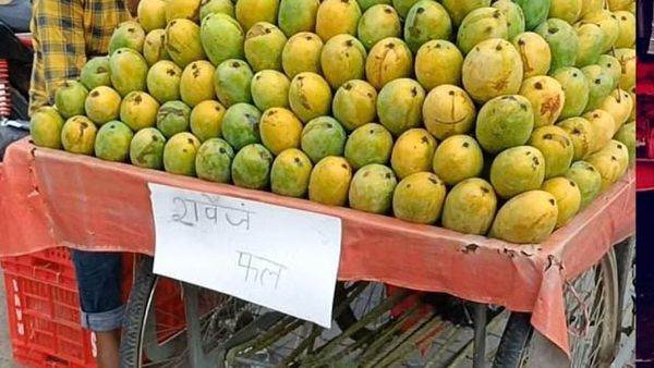 UP Name Plate Controversy : દુકાન બહાર નામ લખવુ ખરેખર જરૂરી? જાણો શું કહે છે નિયમ?