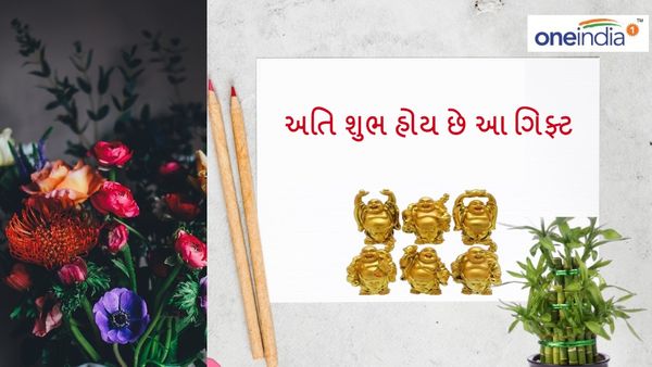Vastu Tips For Gift: અતિ શુભ હોય છે આ ગિફ્ટ, ખુલી જશે મેળવનારની કિસ્મત