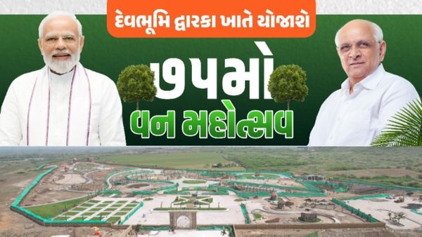 8 ઓગસ્ટે યોજાશે રાજ્યકક્ષાનો 75મો વન મહોત્સવ, CM કરશે હરસિદ્ધિ વનનું લોકાર્પણ