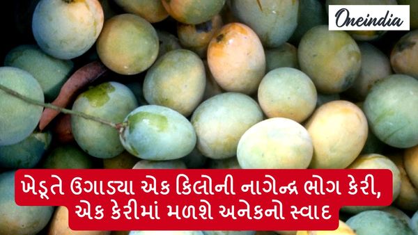 Agriculture News: આ છે નાગેન્દ્ર ભોગ કેરી, એક કેરીમાં મળશે અનેક કેરીના સ્વાદ