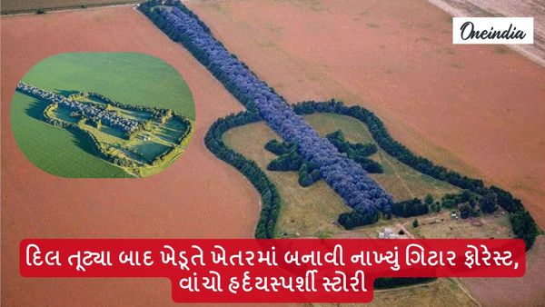 Guitar Forest: દિલ તૂટ્યા બાદ ખેડૂતે ખેતરમાં બનાવી નાખ્યું ગિટાર ફોરેસ્ટ, વાંચો હર્દયસ્પર્શી સ્ટોરી