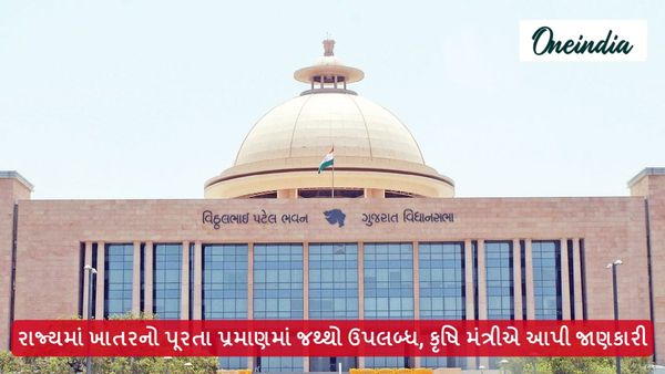 રાજ્યમાં ખાતરનો પૂરતા પ્રમાણમાં જથ્થો ઉપલબ્ધ, કૃષિ મંત્રીએ આપી જાણકારી