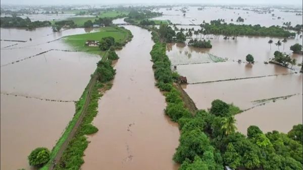 Gujarat Rains: ગુજરાતમાં ભારે વરસાદથી ઘણી જગ્યાએ પૂર, 29ના મોત, આજે 12 જિલ્લામાં અતિ ભારે વરસાદની આગાહી