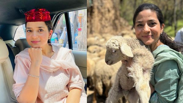 કોણ છે મહેબૂબા મુફ્તીની પુત્રી ઇલ્તિજા મુફ્તી? વિધાનસભા ચૂંટણીથી કરશે રાજકારણમાં એન્ટ્રી