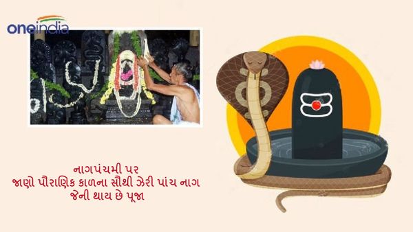 Nag panchami 2024: નાગપંચમી પર જાણો પૌરાણિક કાળના સૌથી ઝેરી પાંચ નાગ, જેની થાય છે પૂજા