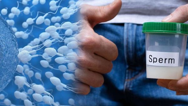 Sperm Donation : આ દેશમાં અચાનક કેમ વધી રહી છે પુરૂષોના સ્પર્મની ડિમાન્ડ? કારણ જાણીને વિચારતા રહી જશો