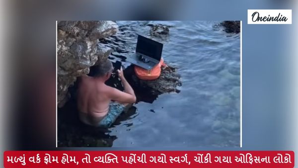 Viral News: મળ્યું વર્ક ફ્રોમ હોમ, તો વ્યક્તિ પહોંચી ગયો સ્વર્ગ, ચોંકી ગયા ઓફિસના લોકો