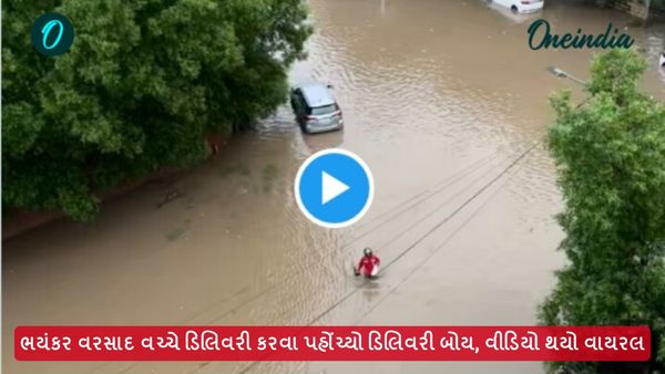 ભયંકર વરસાદ વચ્ચે ડિલિવરી કરવા પહોંચ્યો ડિલિવરી બોય, વીડિયો થયો વાયરલ