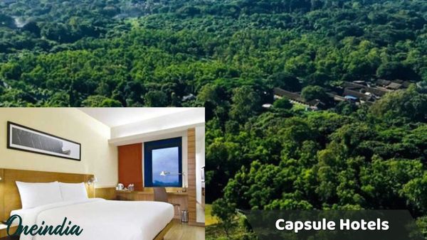 વૃક્ષો પર હોટલ? તે સાચું છે! જાણો વિશ્વની અનોખી Capsule Hotels વિશે, જે તમારી રજાઓને બનાવશે યાદગાર