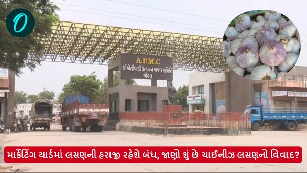 માર્કેટિંગ યાર્ડમાં લસણની હરાજી રહેશે બંધ, જાણો શું છે ચાઈનીઝ લસણનો વિવાદ?