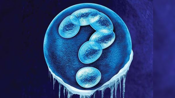 Egg Freezing Age : યુવતીઓમાં વધી રહ્યો છે એગ ફ્રીઝ કરાવવાનો ટ્રેન્ડ, જાણો કેટલી ઉમર સુધી કરાવી શકાય છે?