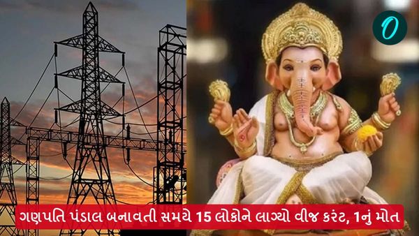 Vadodara: ગણપતિ પંડાલ બનાવતી સમયે 15 લોકોને લાગ્યો વીજ કરંટ, 1નું મોત