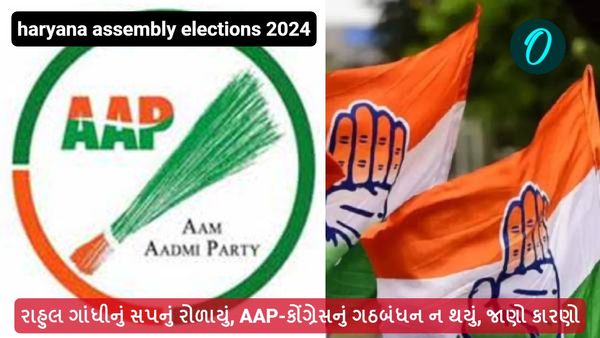 હરિયાણામાં રાહુલ ગાંધીનું સપનું રોળાયું, AAP-કોંગ્રેસનું ગઠબંધન ન થયું, જાણો કારણો
