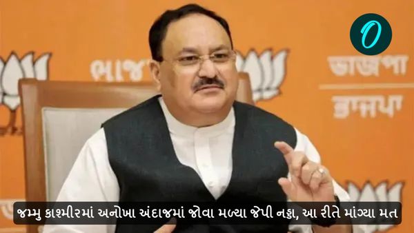 Jammu and Kashmir Assembly Election 2024: અનોખા અંદાજમાં જોવા મળ્યા જેપી નડ્ડા, આ રીતે માંગ્યા મત