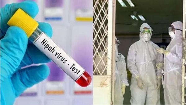 Nipah Virus: કેરળમાં નિપાહ વાયરસનો પ્રકોપ, જાણો તેના લક્ષણ, ઈલાજ અને બચાવ