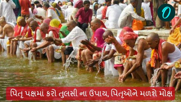 Pitru Paksha 2024: પિતૃ પક્ષમાં કરો તુલસી ના ઉપાય, પિતૃઓને મળશે મોક્ષ