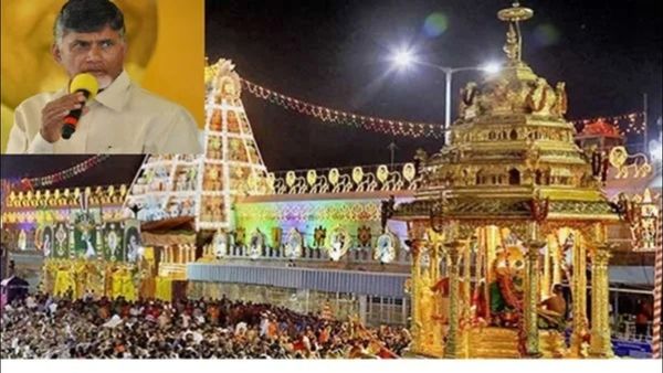 તિરુપતિ મંદિરના પ્રસાદના લાડુમાં એનિમલ ફેટ' ચંદ્રબાબુ નાયડુના સનસનીખેજ ખુલાસો