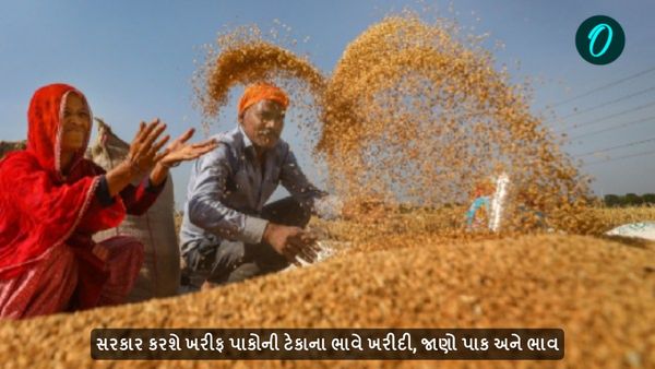સરકાર કરશે ખરીફ પાકોની ટેકાના ભાવે ખરીદી, જાણો પાક અને ભાવ
