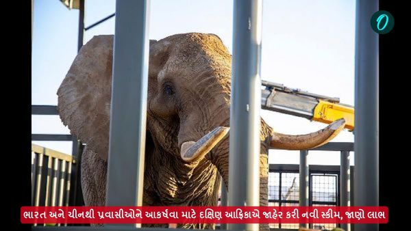 દક્ષિણ આફ્રિકાએ ભારત, ચીનથી વધુ પ્રવાસીઓને આકર્ષવા યોજના રજૂ કરી