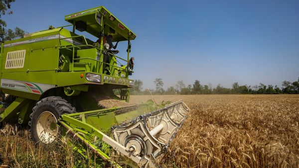 Rabi Crops MSP : કેન્દ્ર સરકારે ઘઉં સહિતના રવિ પાકોના ટેકાના ભાવમાં વધારો કર્યો, જાણો નવા ભાવ