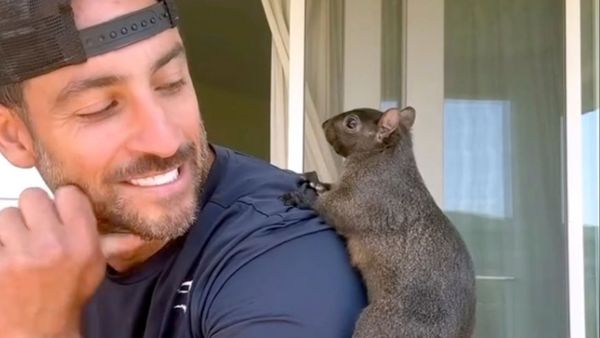 US: 6 લાખથી વધુ ફોલોઅર ધરાવતી 'પિનટ' નામની ખિસકોલીની હત્યા કેમ કરવામાં આવી?