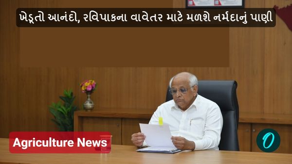 ખેડૂતો આનંદો, રવિપાકના વાવેતર માટે મળશે નર્મદાનું પાણી