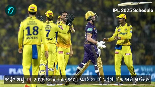 IPL 2025 Schedule: મેગા ઓક્સન પહેલા જાહેર થયું IPL 2025 Schedule, જાણો ક્યારે રમાશે પહેલી મેચ અને ફાઈનલ