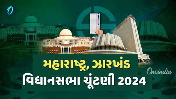 Jharkhand Maharashtra Election Voting: ઝારખંડ અને મહારાષ્ટ્રમાં સવારે 9 વાગ્યે કેટલું મતદાન થયું?