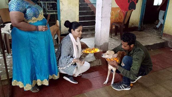 Kukur Tihar Festival : શું છે કુકુર તિહાર? જાણો કેમ નેપાળના લોકો દિવાળી પર કરે છે કુતરાઓની પુજા?