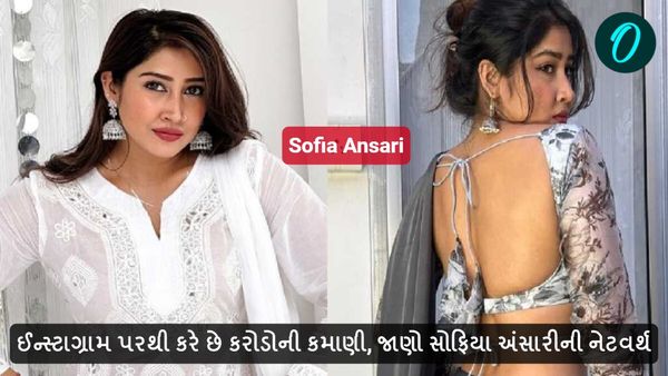 ઈન્સ્ટાગ્રામ પરથી કરે છે કરોડોની કમાણી, જાણો સોફિયા અંસારીની નેટવર્થ