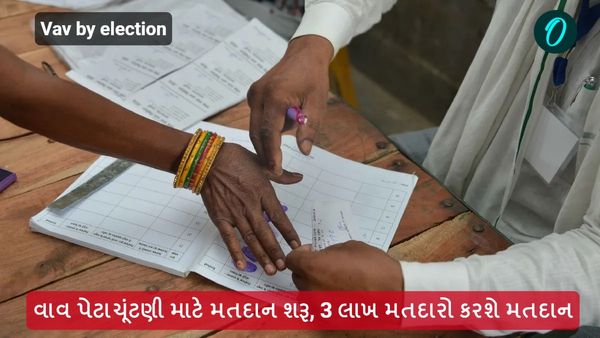 વાવ પેટાચૂંટણી માટે મતદાન શરૂ, 3 લાખ મતદારો કરશે મતદાન